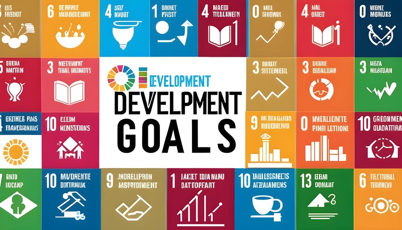 development goals